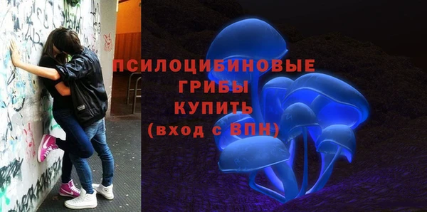 гидропоника Карпинск