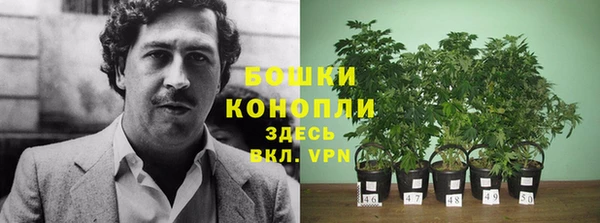 МДМА Карталы