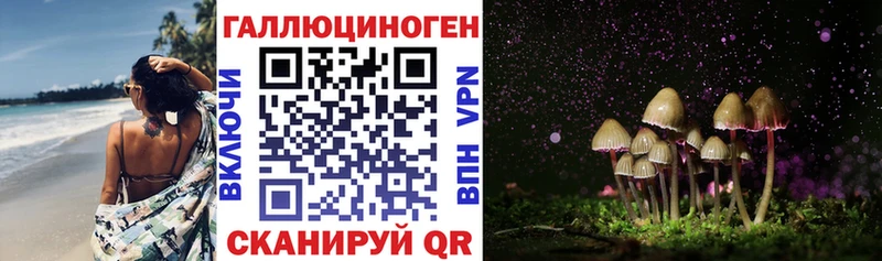 Купить закладки Енисейск Галлюциногенные грибы Cubensis